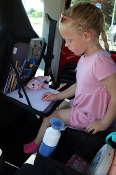 DOOKY Backseat Travel Tray