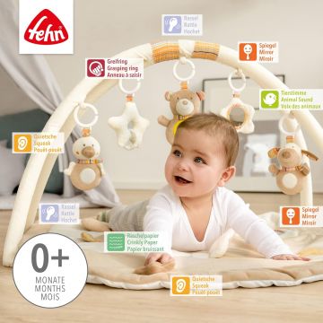 FEHN Rainbow 3-D Puuhakeskus TEDDY TOM