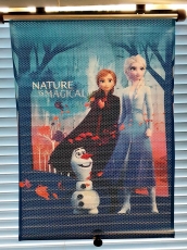 HiTS4KiDS Rullaverho Autoon FROZEN II Nature is Magical